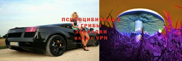 не бодяженный Иннополис