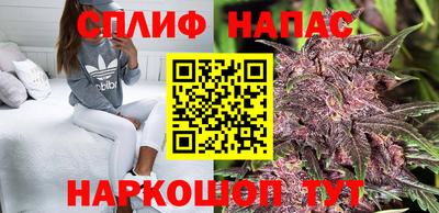 стаф Нягань