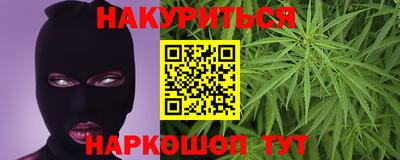 сатива Обнинск