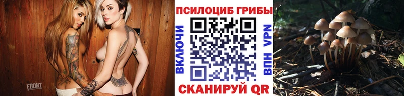 Псилоцибиновые грибы прущие грибы  Армавир 